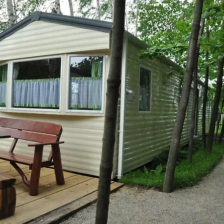 Agroturystyka Wichrowe Wzgorze Farm stay *