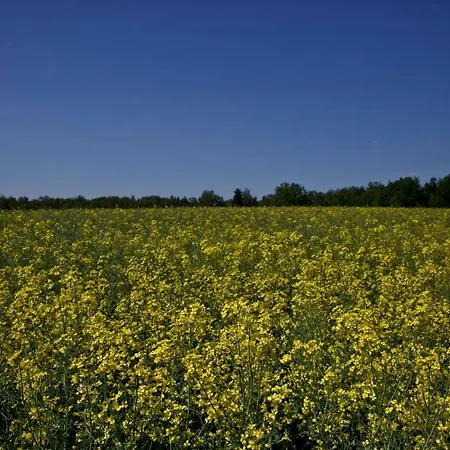 Wichrowe Wzgorze Çiftlik konaklama Osiek (Lesser Poland)